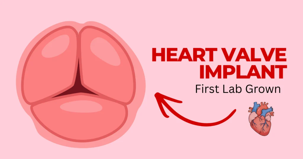 Illustration of the first lab-grown human heart valve implant highlighting breakthroughs in regenerative medicine.