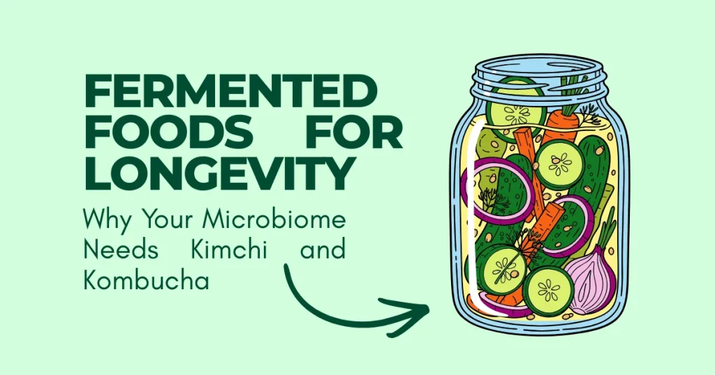 Illustration of a mason jar filled with pickled vegetables titled "Fermented Foods for Longevity: Why Your Microbiome Needs Kimchi and Kombucha."