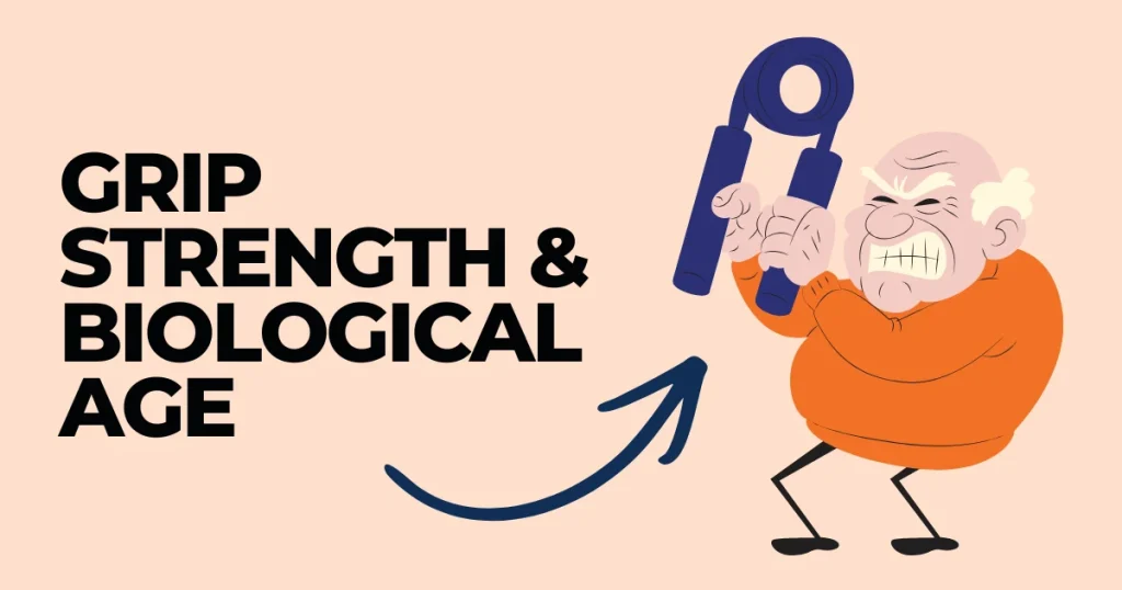 Cartoon of an elderly man straining to use a hand grip strengthener next to text reading "Grip Strength & Biological Age."