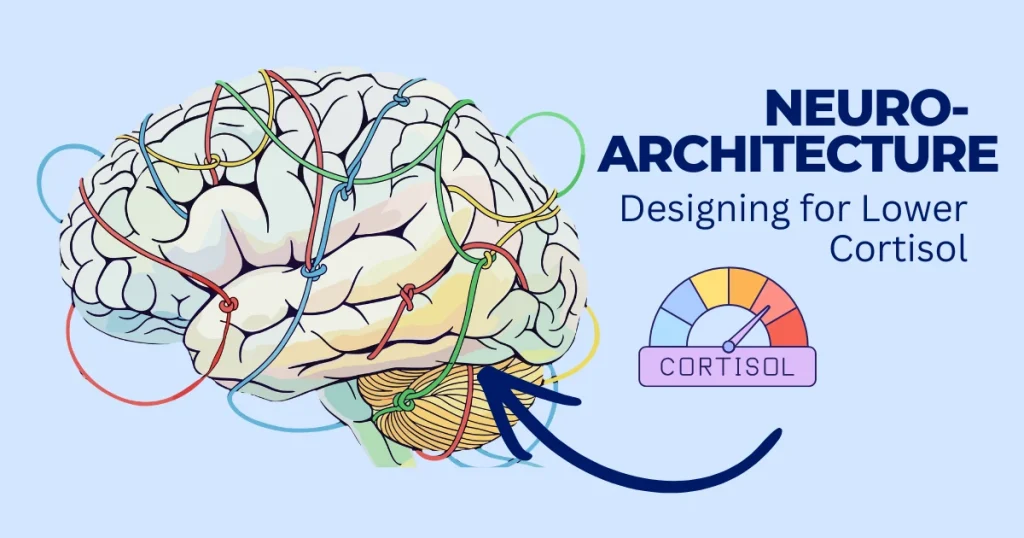 An illustration of a human brain wrapped in colorful wires next to a cortisol level meter, titled Neuro-Architecture: Designing for Lower Cortisol.