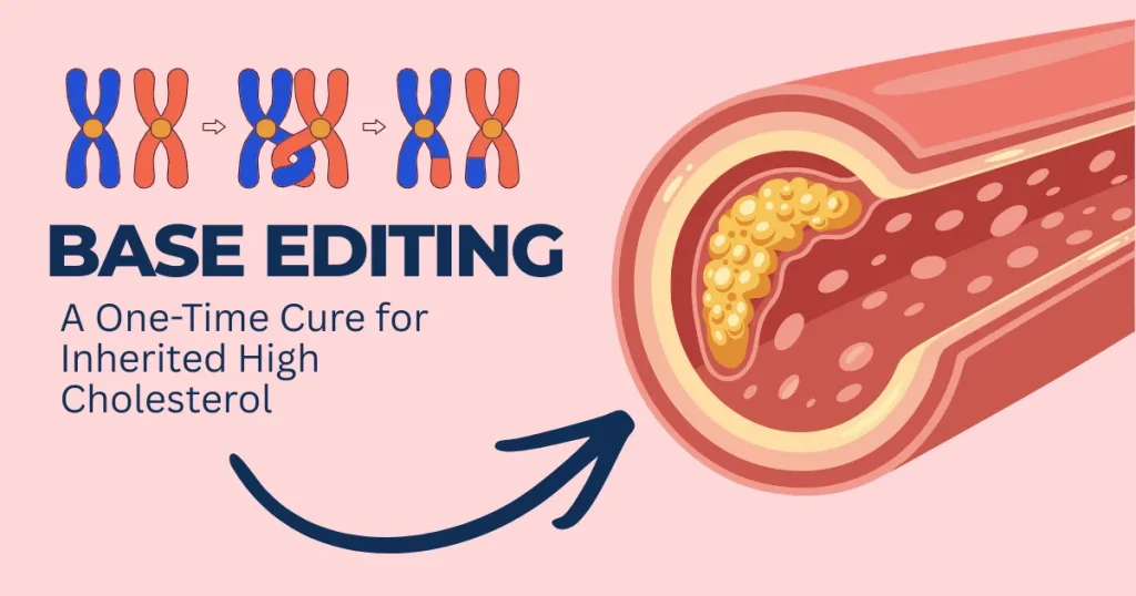 Illustration explaining base editing as a gene therapy cure for inherited high cholesterol, showing a chromosome crossover and a cross-section of an artery with plaque buildup.