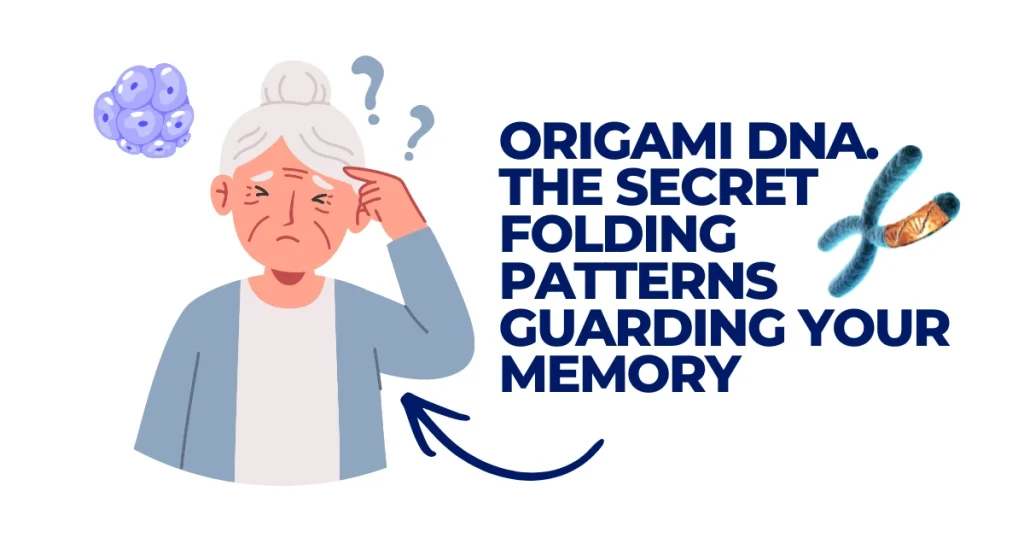 Origami DNA | The Secret Folding Patterns Guarding Your Memory Illustration of an elderly woman looking confused with question marks, featuring a DNA chromosome and the text "Origami DNA: The Secret Folding Patterns Guarding Your Memory."