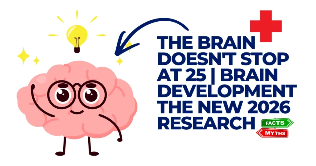 The Brain Doesn't Stop at 25 | Brain Development The New 2026 Research Cartoon illustration of a pink brain wearing glasses with a glowing lightbulb, next to text reading "The Brain Does Not Stop at 25 | Brain Development The New 2026 Research" with facts and myths signposts.