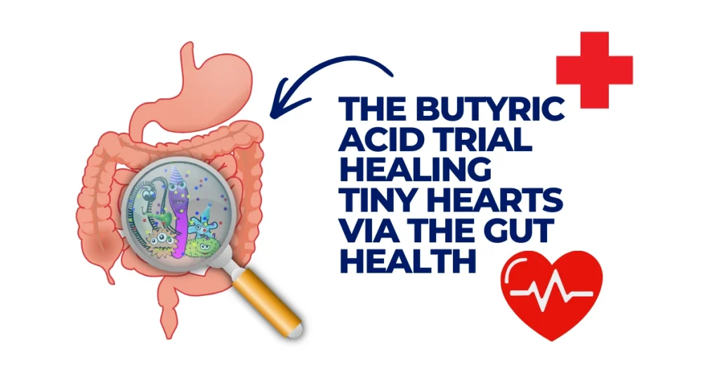 The Butyric Acid Trial | Healing Tiny Hearts via the Gut HealthNews 1 An infographic showing the human digestive system and a heart icon, titled "The Butyric Acid Trial: Healing Tiny Hearts via Gut Health," featuring a magnifying glass over gut bacteria.