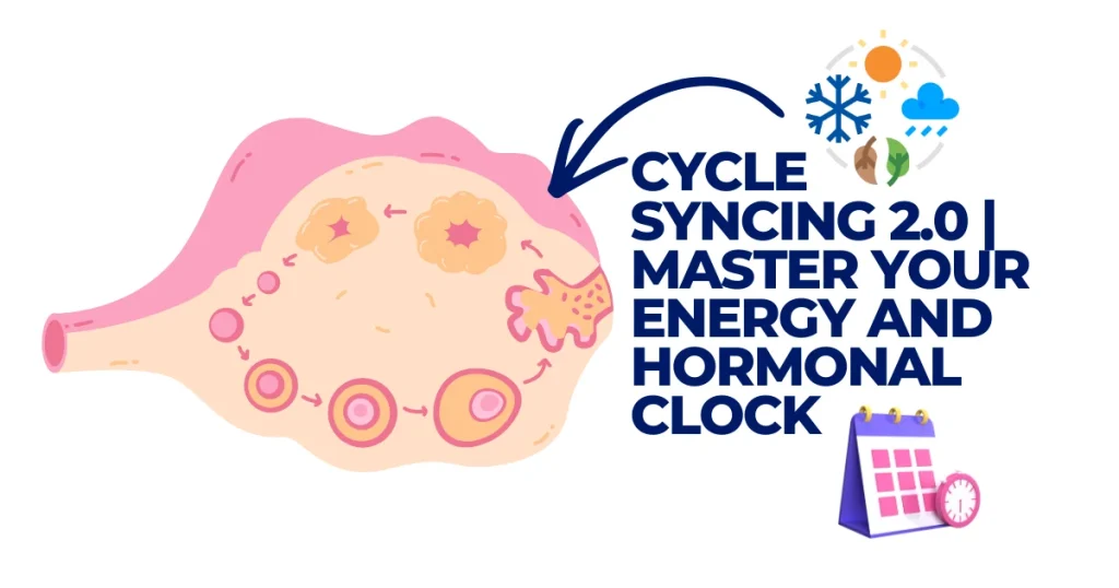 Diagram of the ovulation cycle and ovarian follicle development with text "Cycle Syncing 2.0: Master Your Energy and Hormonal Clock."