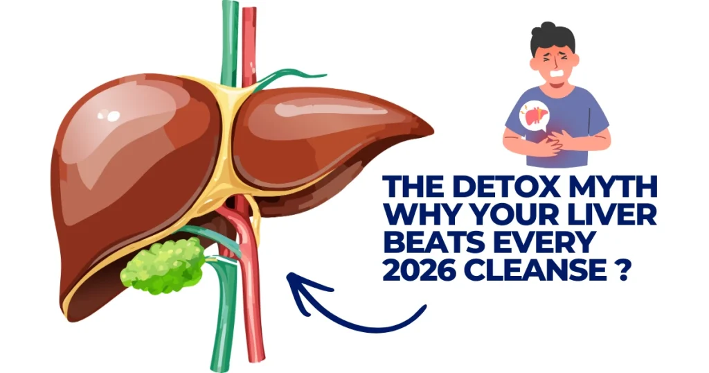 The Detox Myth | Why Your Liver Beats Every 2026 Cleanse Illustration of a human liver and gallbladder next to a man experiencing abdominal pain, titled 'The Detox Myth: Why Your Liver Beats Every 2026 Cleanse.'